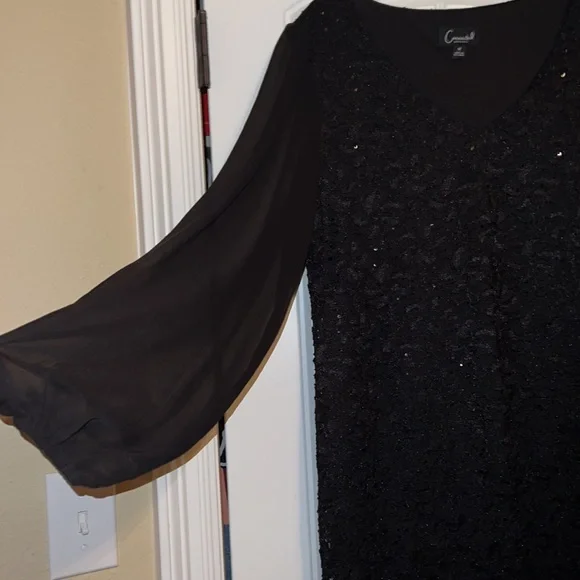 NWOT black long sleeve dress; lace and sequin overlay, sheer sleeves - Picture 4 of 5